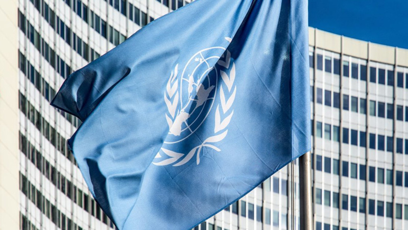 The Belarusian diagnostic card is officially recognized by the UN