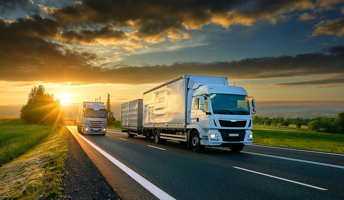 Freight transportation service: features of forwarding